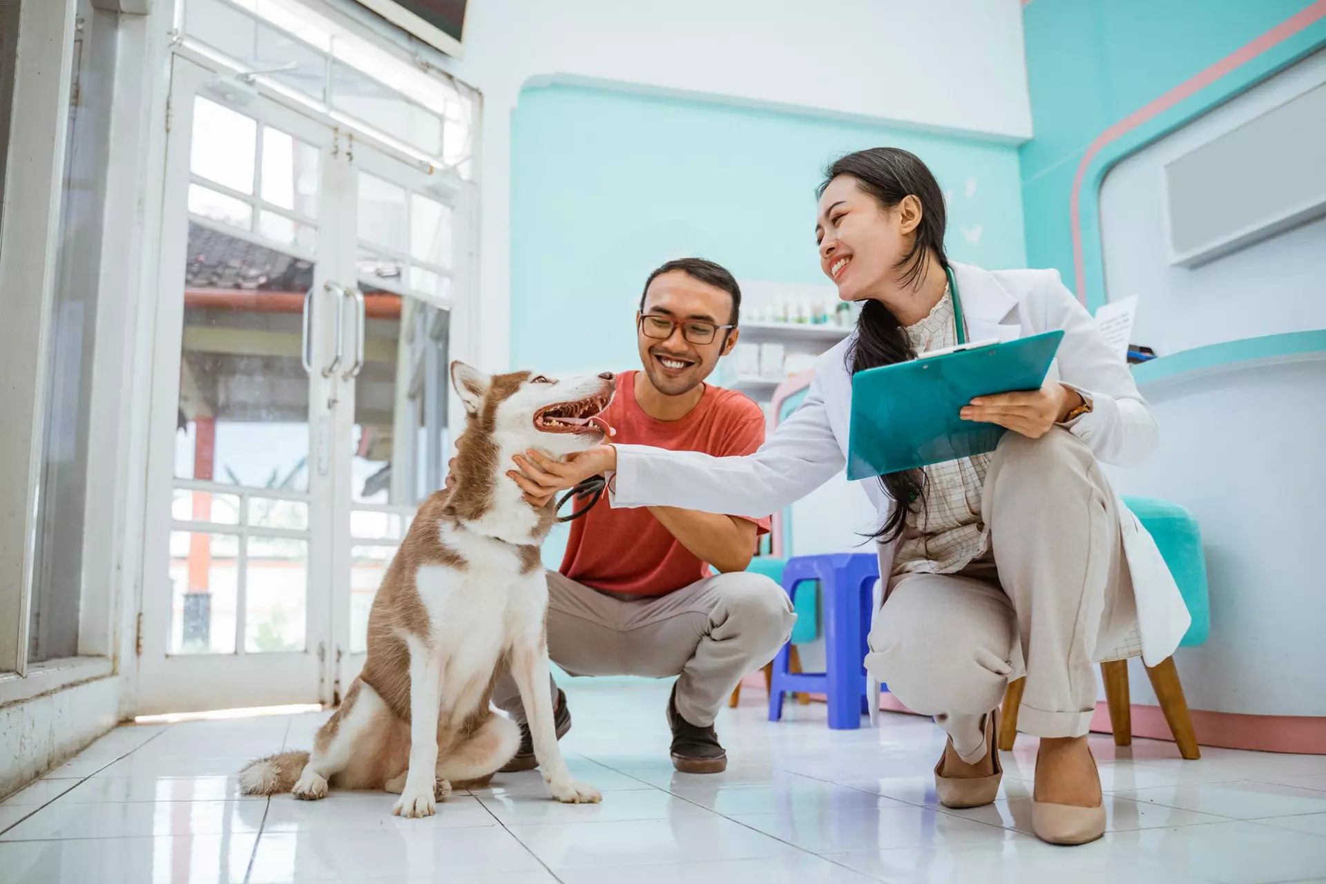 Veterinary Specialty Center in Sacramento, CA